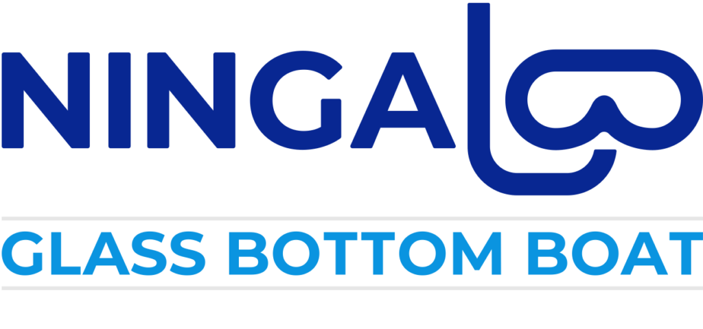 ningaloo-glass-logo
